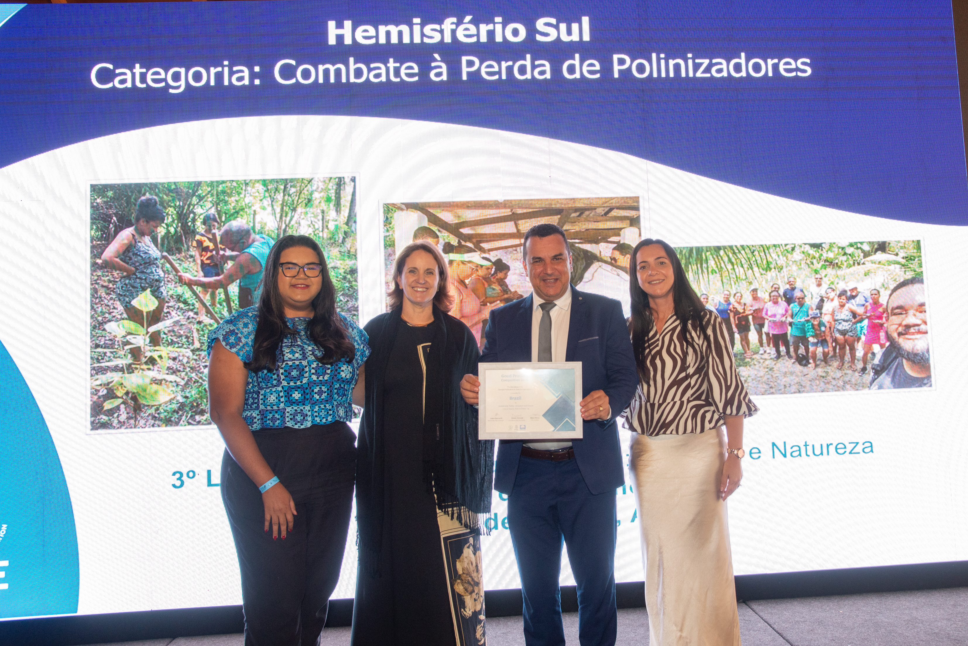 Workshop - 2025/2026